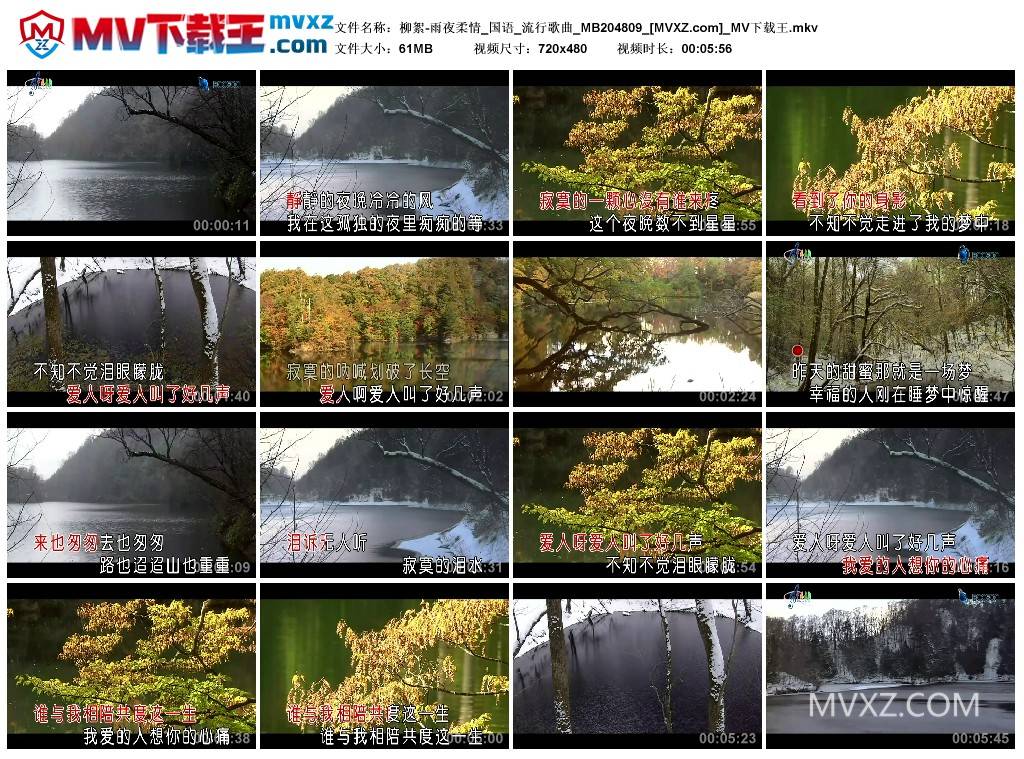 柳絮-雨夜柔情_国语_流行歌曲_MB204809